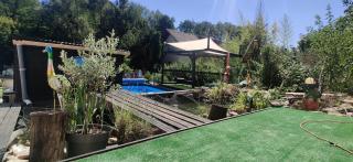 L'Échappée Verte - 6