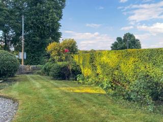 Wychwood - Uk49559 - Holmfirth - 9