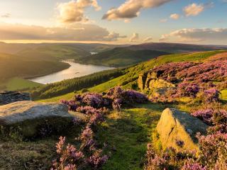 Wychwood - Uk49559 - Holmfirth - 1