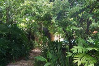 Mukurumanzi Lodge - Polokwane - 8