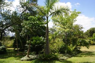 Mukurumanzi Lodge - Polokwane - 6