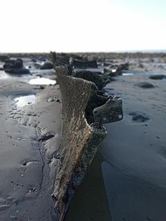 Caravan - Sleeps 8 - Decking - Pets Ok - Parking - Hunstanton - 3