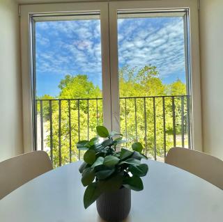 Tilzes 34 Apartment 11 - Klaipėda - 7