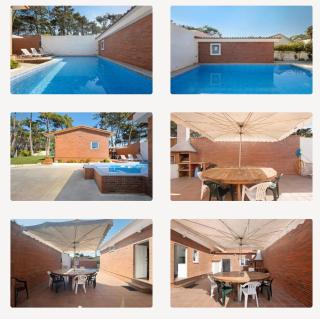 Pinheiro Manso - 8