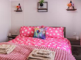 The Laughing Seagull - Uk50213 - Aberystwyth - 3
