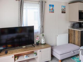The Laughing Seagull - Uk50213 - Aberystwyth - 7