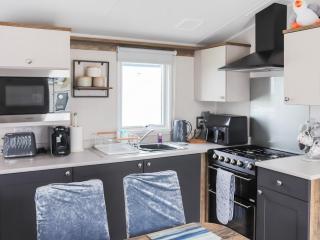 The Laughing Seagull - Uk50213 - Aberystwyth - 5