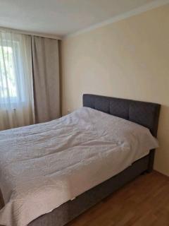 Weilburg Apartments - Baden - 9