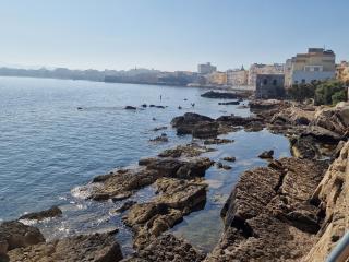 Saraceni - Trapani - 4