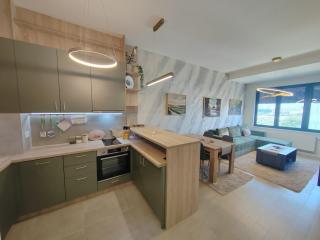 Lastavica residence, modern luxury apartment with free garage - Novi Beograd - 5
