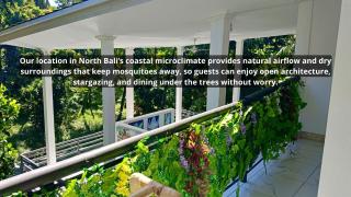 Skylodge B&B - Bali Jungle Retreat with Fine Dining & Eco Pool - Bukti - 4