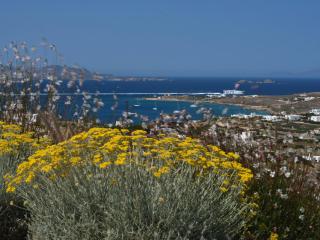 Olithos Villas - 7