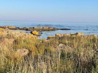 Wildernest Bornholm - Svanen - Neksø - 7