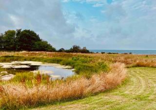 Wildernest Bornholm - Svanen - Neksø - 5