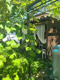 B&B Ma Maison - 9