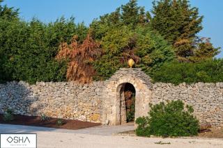MASSERIA OSHA ex QUIS UT DEUS - - 7