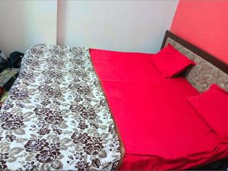 The Krishna luxury stay guest house - Ayodhya - 1