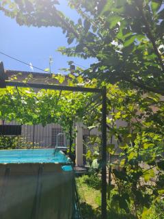 B&B Ma Maison - Govone - 6