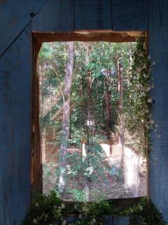 Mirabel - DreamsCanGrow - 7