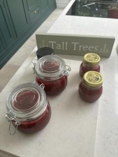 Tall trees - Dunadry - 8