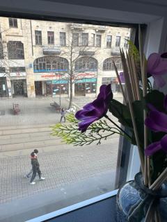 Im Herzen Plauen - Plauen - 2