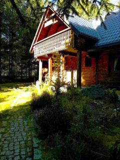 domek w zaczarowanym lesie - Istebna - 9