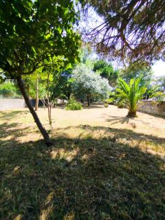 Cosy Home Santana - - 2