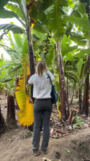 Ava garden backpackers - Mto wa Mbu - 8