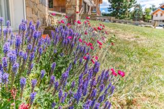 Chalet Crocus - Huez - 5