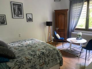 Belle Chambre Privée - Salle de bain - Jardin - Wifi - - Wissembourg - 9