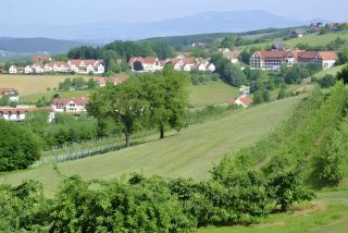 Apartment in Bad Waltersdorf - Steiermark 43929 - Bad Waltersdorf - 4
