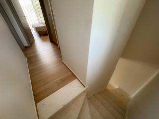 The Olive Path K1 - Kalandra - 8