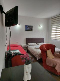 Apartments F - Podgorica - 7