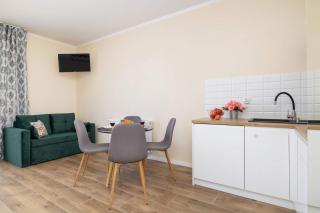 Przytulne Studio w Gorskim Zakatku Wisly by Noclegi Renters - Wisła - 9