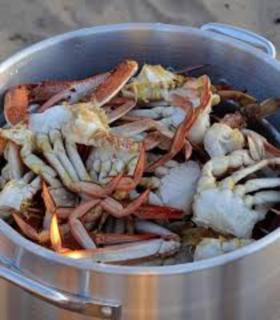 Pet-friendly Beachfront Family Getaway With Views - Mandurah - 8