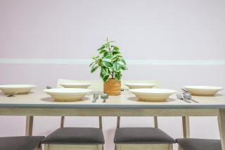 Luxury Pokémon Haven with Private Playground Clover Home 2-28 - 1