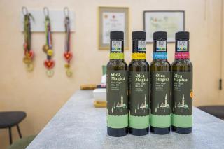 Olea Magica Apartments - Rovinj - 8