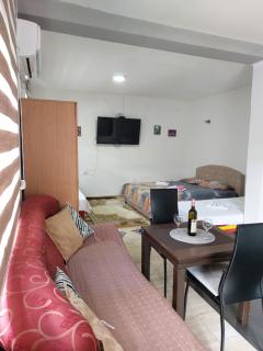 Apartments F - Podgorica - 4