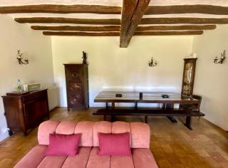 Gite 220 m2 - 4 SDB avec gym, jacuzzi, bbq, billard - Fontaine-les-Côteaux - 1