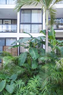 The Waves Tulum Intimate studio apartment with private plunge pool - 5