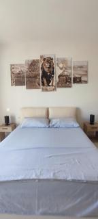 Julie house - Sabaudia - 1