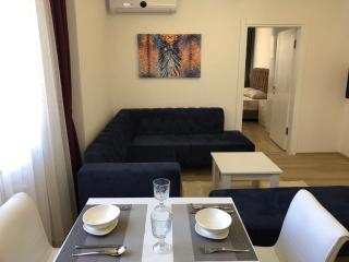 AiRPORT TO THE OTEL AND HOME - Pelitli - 6