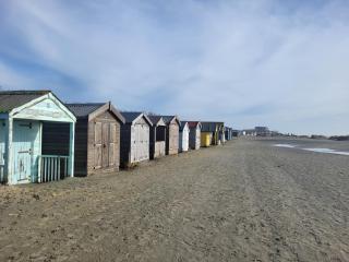 Open Plan Dog Friendly Annexe Sleeping 2 I Near Local Beaches & Chichester with FREE Parking - 8