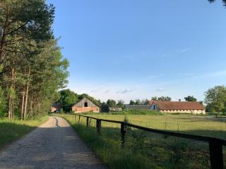 Polanka Agroturystyka i Konie - Horyniec Zdrój - 2