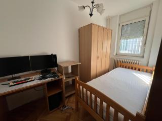 Detelina - 2