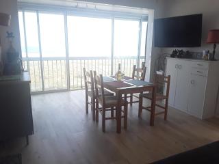 Bel appartement spacieux front de mer - 3