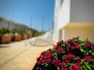 B&B Trande a Santa Maria di Leuca - Leuca - 5
