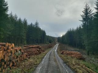 Glenbarrow Lodge - 1