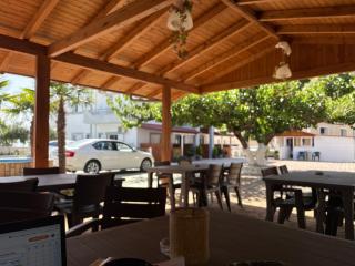 Yard Paradise - Dhërmi - 4
