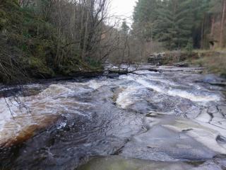 Glenbarrow Lodge - Rosenallis - 3